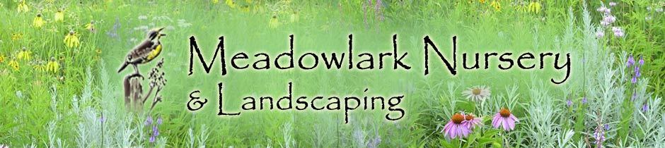 Meadowlark Nursery  Landscaping